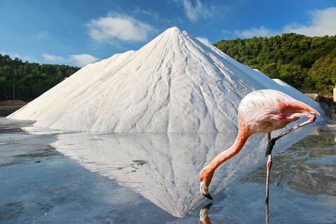 Ibiza Island Tour: Punta Arabi Local Market - Ease of Logistics with Guided Transportation