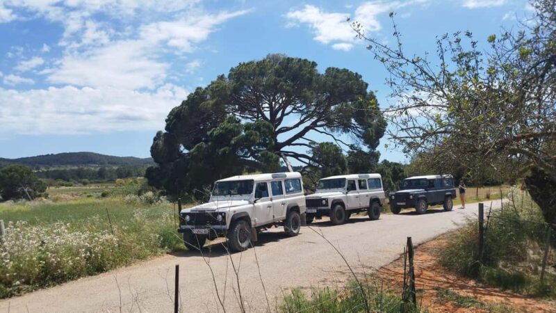 Ibiza: Jeep Safari Island Exploration - Comfortable and Convenient Pickup Options