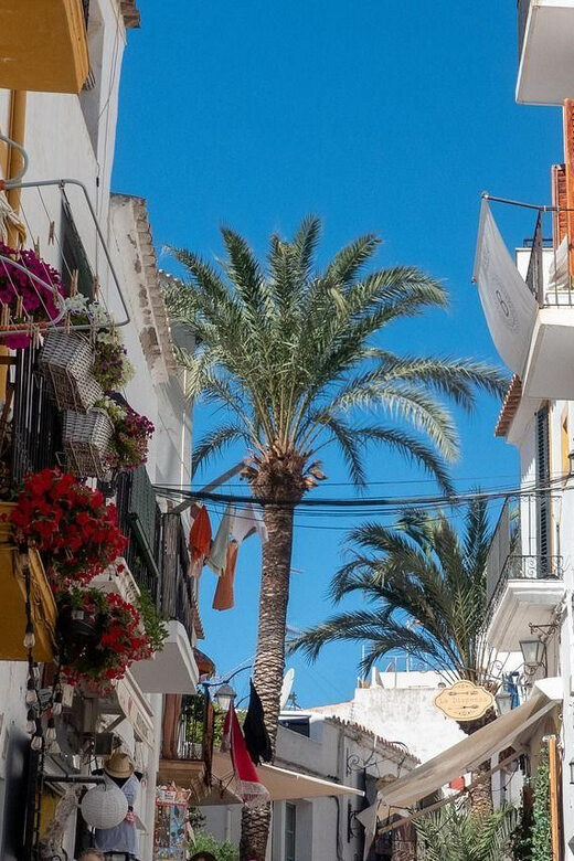 Ibiza old town Private Guided Walking Tour - Frequently Asked Questions