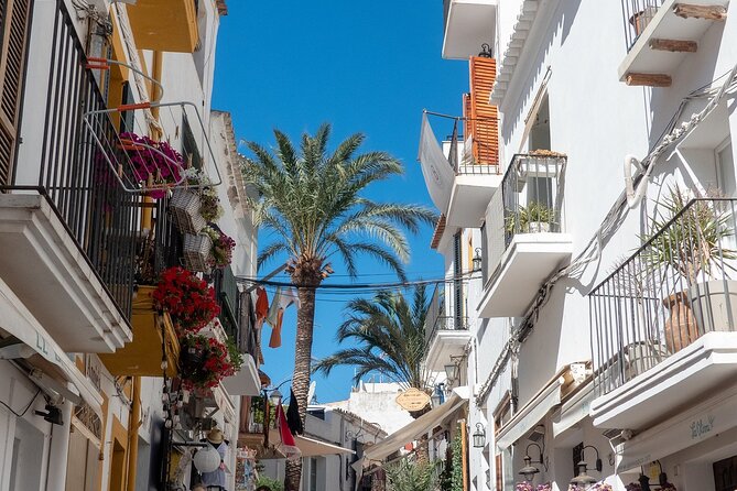 Ibiza old town Private Walking Tour with a Professional Guide - Key Points