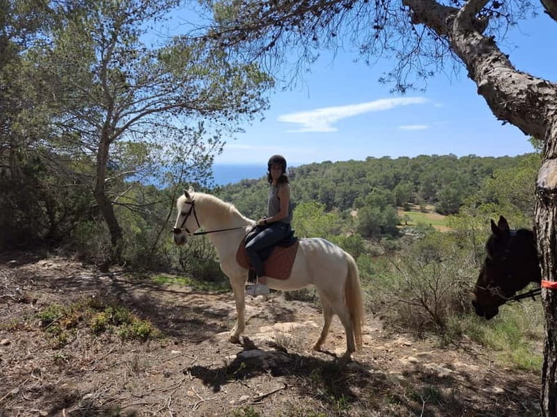 IBIZA: Private Horseback Ride with PICNIC + Hotel Pick-up - Key Points