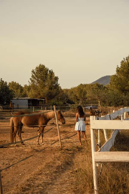 IBIZA: Private Horseback Ride with PICNIC + Hotel Pick-up - The Picnic: A Peaceful Lunch in Nature