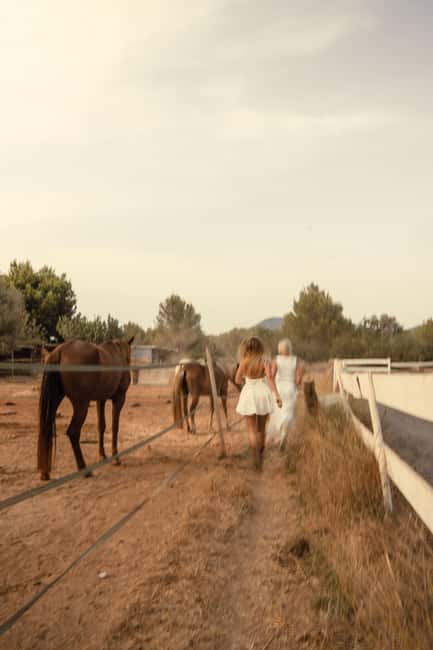 IBIZA: Private Horseback Ride with PICNIC + Hotel Pick-up - Accessibility and Group Size Details