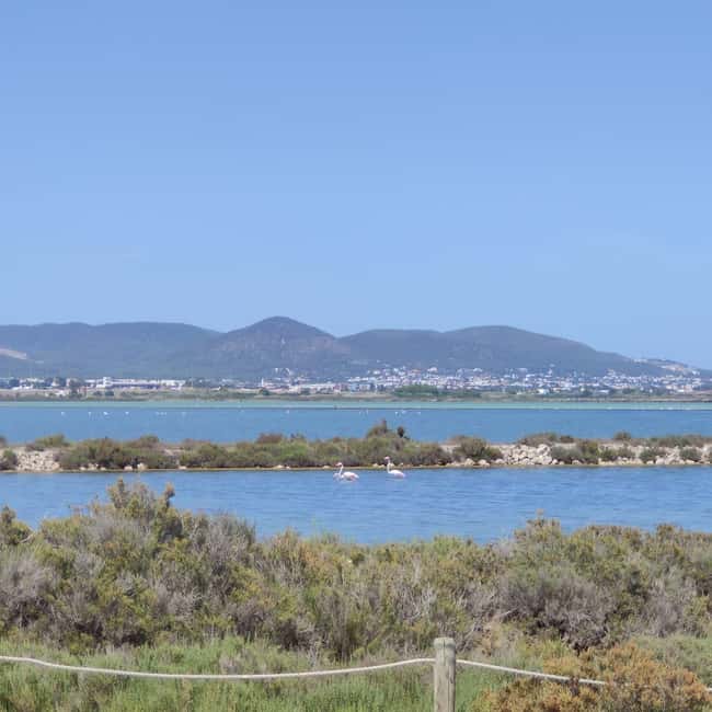 Ibiza: Salt Beds, Es Vedra & Time and Space Half-Day Tour - What to Bring and Accessibility Considerations