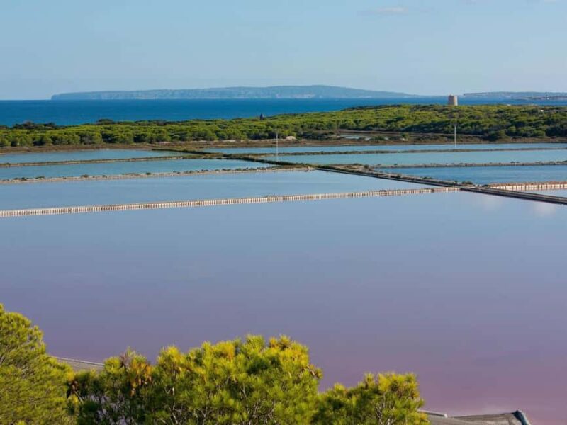 Ibiza: Salt Beds, Es Vedra & Time and Space Half-Day Tour - Authentic Insights and Customer Feedback