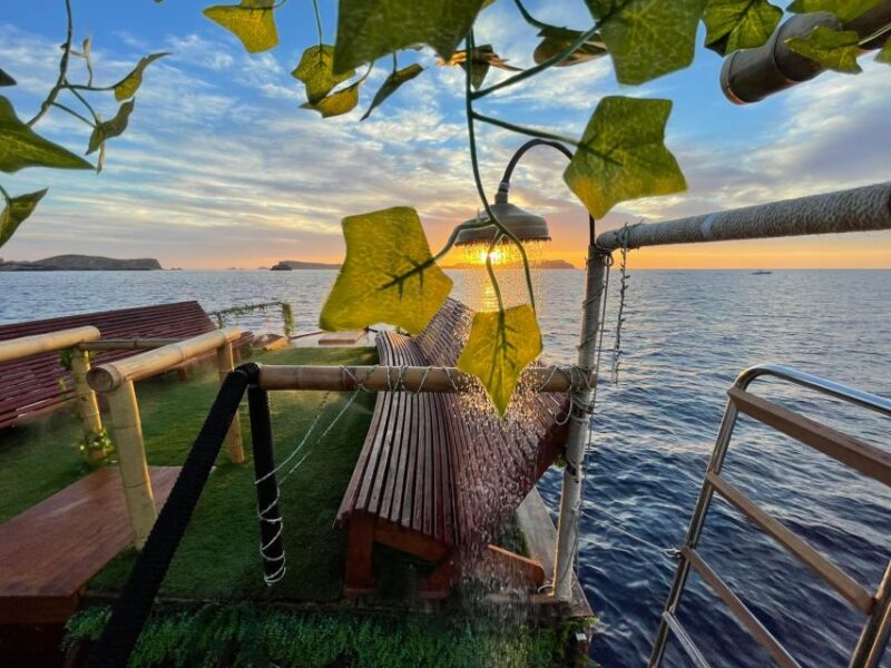 Ibiza: Sea Caves & Coves Snorkeling Paddle Boarding Tour - Exploring Cala Comte and Marine Life