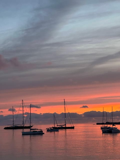 Ibiza: Sunset Sailing Tour with Wine - Key Points