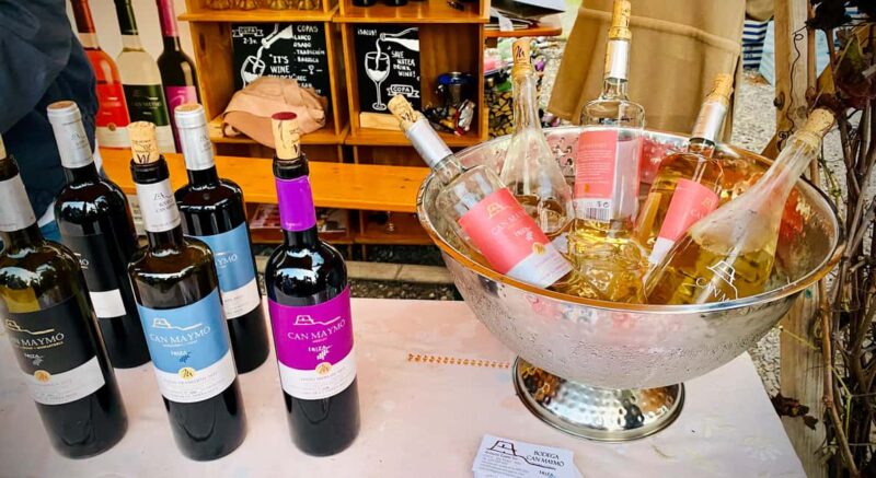 Ibiza: Winery Tour + Tasting Experience with Pickup/Dropoff - Pickup from Your Ibiza Accommodation for a Hassle-Free Start