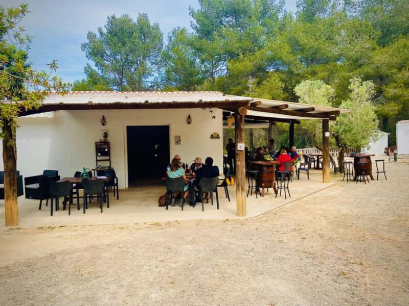 Ibiza: Winery Tour + Tasting Experience with Pickup/Dropoff - Accessibility and Practical Information
