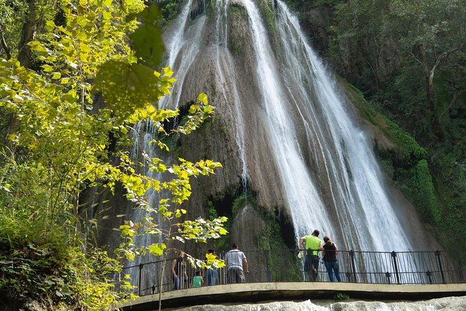 IBO Roller Zip in Cola de Caballo - Discover the Cola de Caballo Waterfall and Forest Views