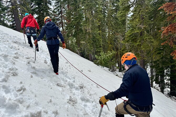 Ice Axe and Crampon Clinics in Mt. Shasta - Mt. Shastas Lower Slopes as the Classroom
