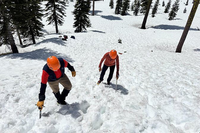 Ice Axe and Crampon Clinics in Mt. Shasta - Why Choose Sws Mountain Guides