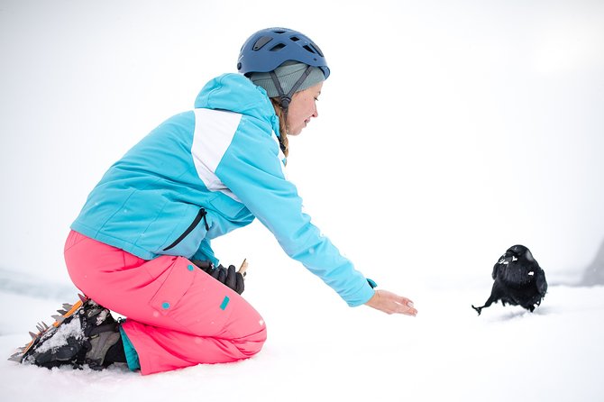 Ice Cave Captured - Professional Photos Included - Meeting Point, Timing, and Group Size