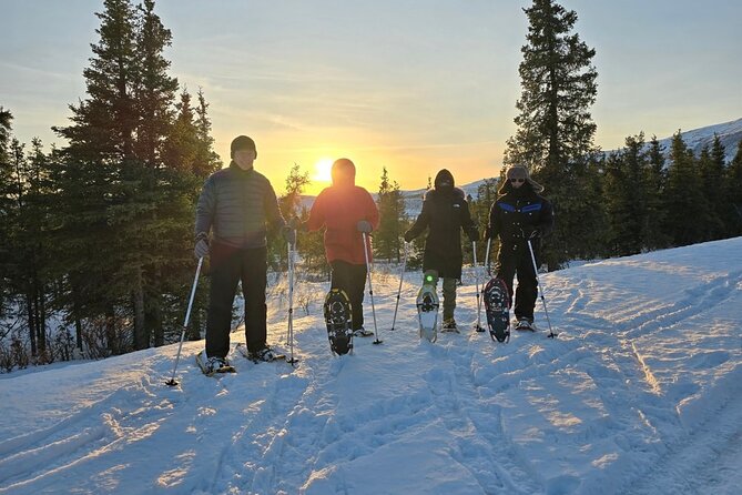 Ice Fishing and Aurora Extravaganza - Key Points