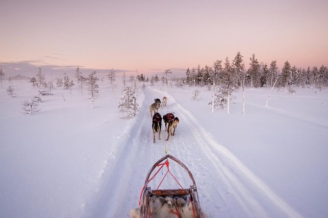 Ice Fishing and Husky - Exciting Arctic Activities in Rovaniemi: Ice Fishing and Husky Farm Visit