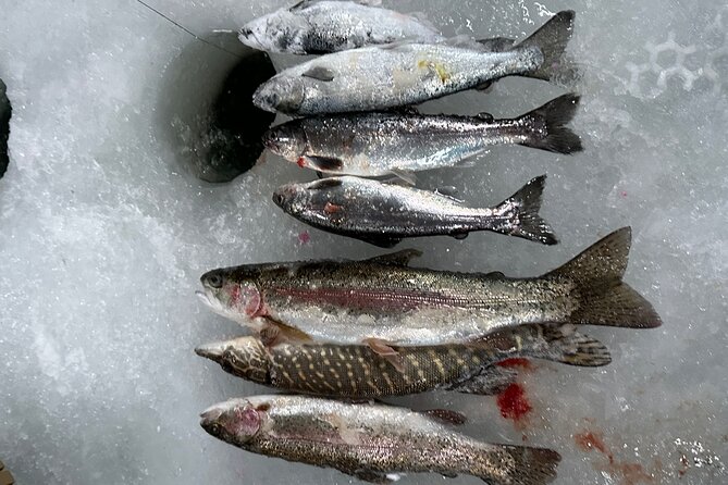 Ice Fishing in Fairbanks - Catch Your Fish and Enjoy a Fresh Meal