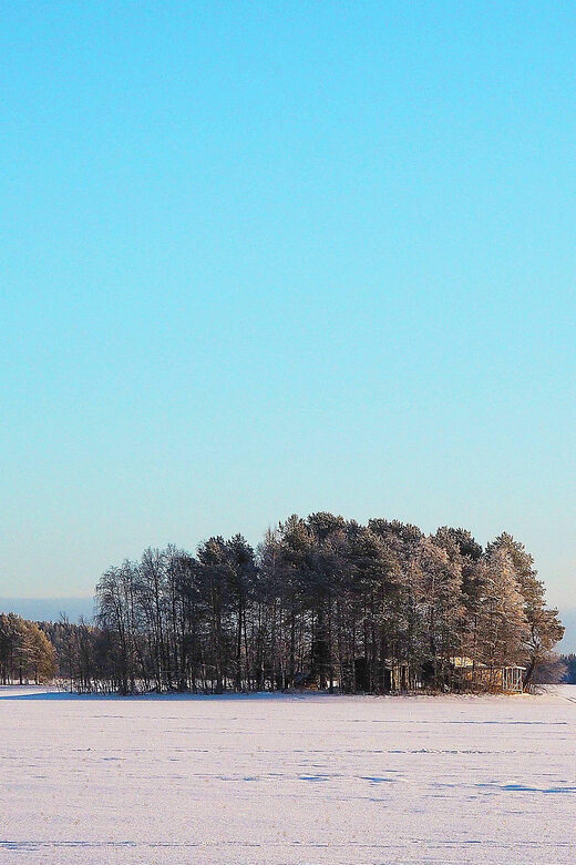 Ice fishing program in Lapland - Comparing Similar Rovaniemi Ice Fishing Tours