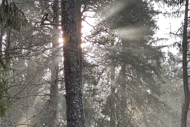 Icebathing and Sauna with Forest hike in Stockholm - Private - Practical Details: Transportation, Booking, and Comfort