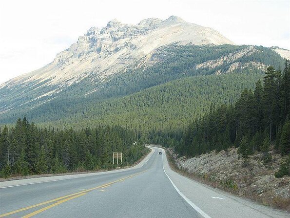 Icefields Parkway & Ice Bubbles of Abraham Lake Adventure - Unique Winter Adventure Along Banff’s Icefields Parkway