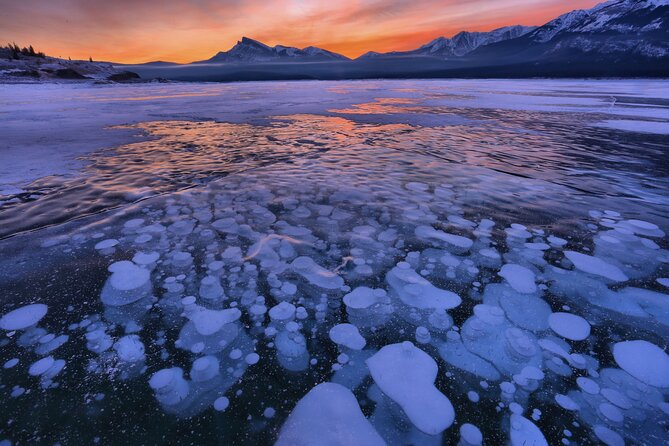 Icefields Parkway & Ice Bubbles of Abraham Lake Adventure - Cozy End with Hot Drinks in Comfort