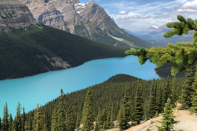 Icefields Pkwy: Lake Louise | Bow | Peyto|Glacier - PRIVATE TOUR - Peyto Lake: The Wolf-shaped Wonder