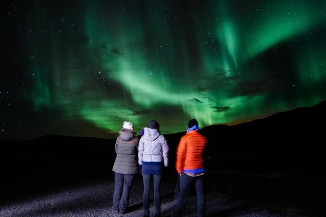 Iceland in a Day: South Coast, Glacier Hike, & Northern Lights - Logistics and Group Size Advantages