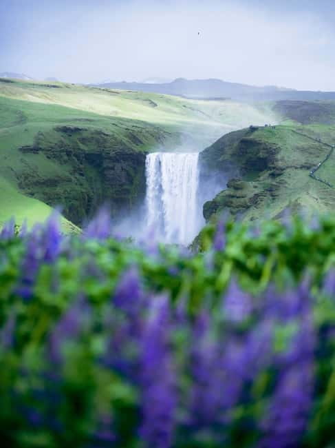 Iceland South Coast: Private Photography and Guided Day Tour - Vík and the South Coasts Coastal Charm