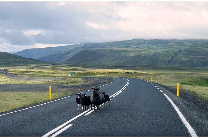 Iceland South Coast Tour with Pickup - Reynisfjara Black Sand Beach: Power and Beauty Combined