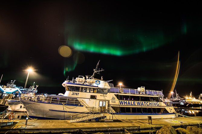 Iceland Super Saver: Northern Lights Cruise plus Whale-Watching Tour from Reykjavik - Weather and Sightings Guarantee: Managing Expectations and Comfort