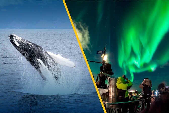 Iceland Super Saver: Northern Lights Cruise plus Whale-Watching Tour from Reykjavik - Flexibility and Booking Options for Your Iceland Trip