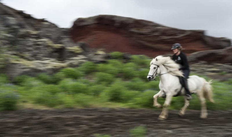 Iceland: Volcanic Landscape Horse Riding Tour - Key Points