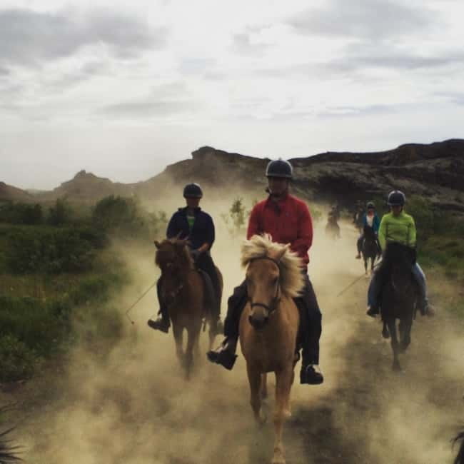 Iceland: Volcanic Landscape Horse Riding Tour - The Icelandic Horses and Their Tölt
