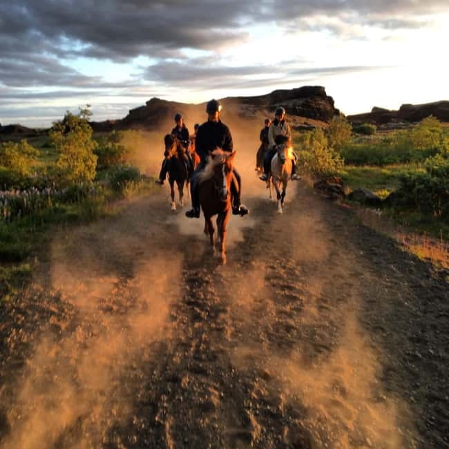 Iceland: Volcanic Landscape Horse Riding Tour - What’s Included and What You Should Prepare