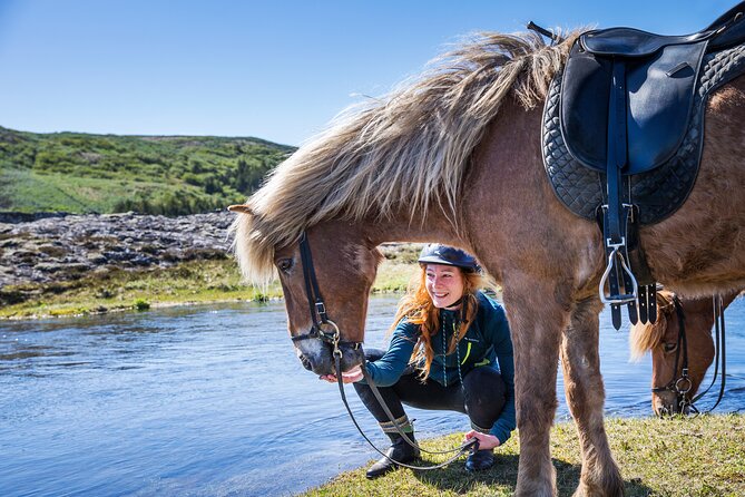 Icelandic Horse Riding and Whale Watching Tour from Reykjavik - Discover an Adventure with Icelandic Horse Riding and Whale Watching from Reykjavik