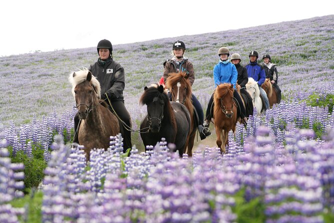 Icelandic Horseback Riding Tour from Reykjavik - Flexibility for Different Riding Levels and Group Sizes
