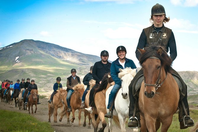 Icelandic Horseback Riding Tour Including Pick Up from Reykjavik - Discover the Charm of Icelandic Horses on a Guided Tour from Reykjavik