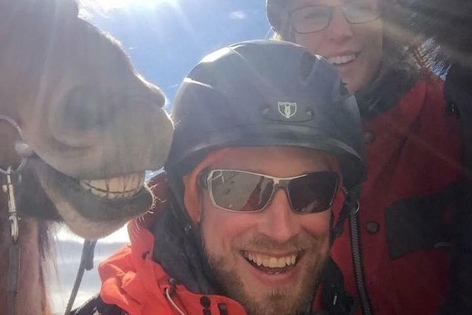 Icelandic Horseback Riding Tour Including Pick Up from Reykjavik - Scenic Countryside and the Icelandic Horse Experience