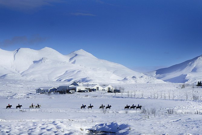 Icelandic Horseback Riding Tour Including Pick Up from Reykjavik - Experience the Ride: From Slow Strolls to Faster Gaits