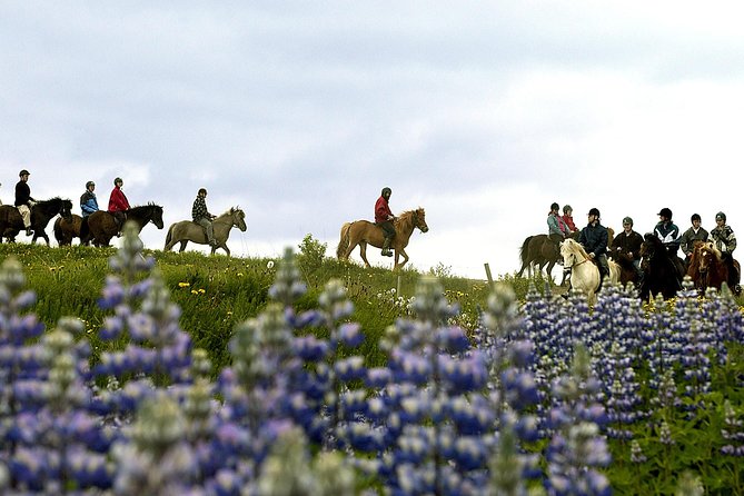 Icelandic Horseback Riding Tour Including Pick Up from Reykjavik - Booking, Cancellation, and Flexibility