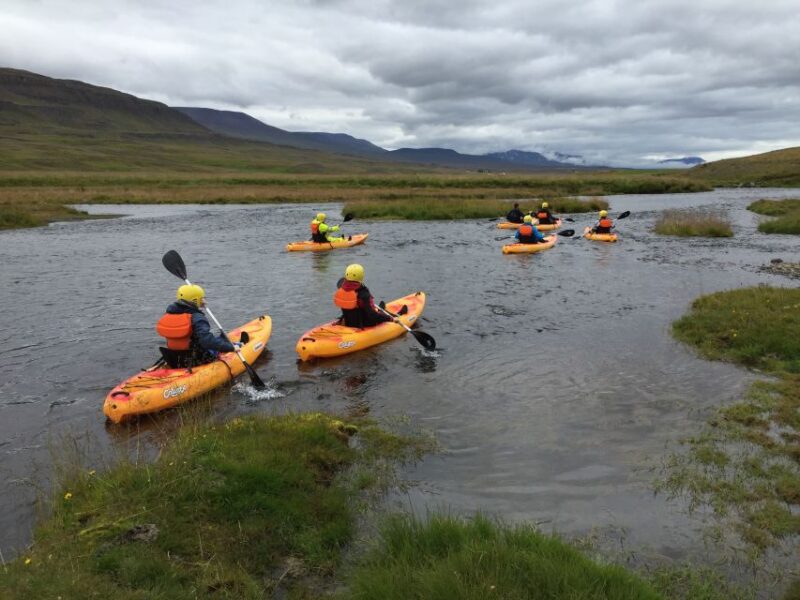 Icelandic Kayak Trip - Encounter Icelandic Birdlife While Paddling