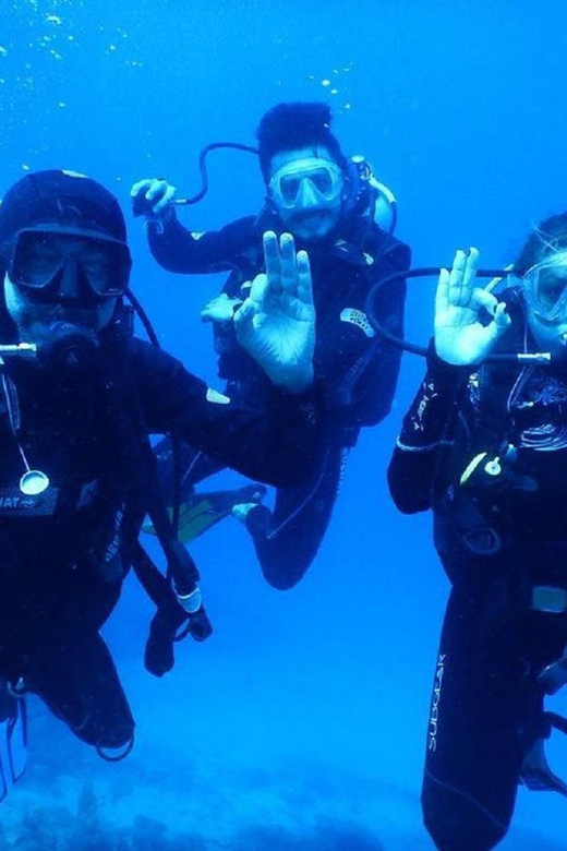 Icmeler: Scuba Diving with a Qualified Instructor - Discover Icmeler’s Marine Wonders with a Qualified Instructor