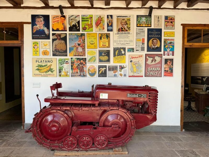 Icod de los Vinos: Casa del Plátano Entry Ticket - Touring the Authentic Banana Plantation