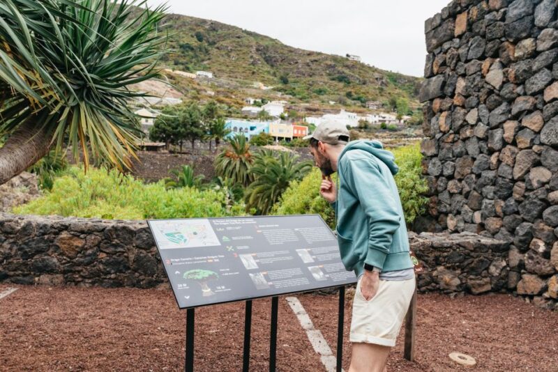 Icod de los Vinos: Dragon Tree & Botanical Garden Ticket - Practical Tips for Visitors