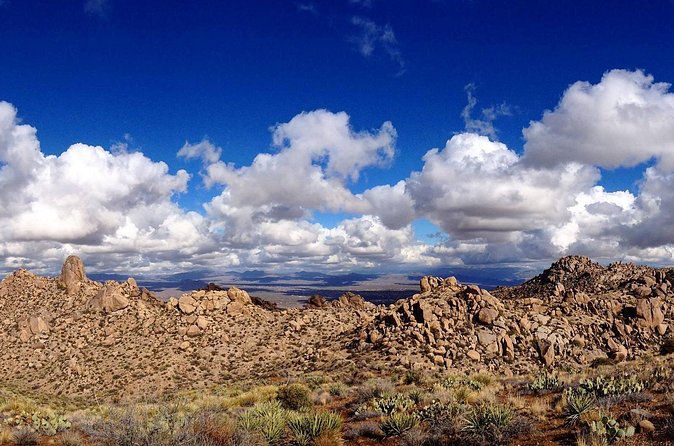 Iconic Tom's Thumb Guided Hiking Adventure in Scottsdale, Arizona - Guides and Their Expertise