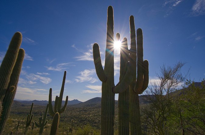 Iconic Tom's Thumb Guided Hiking Adventure in Scottsdale, Arizona - Flexibility and Booking: When and How to Reserve