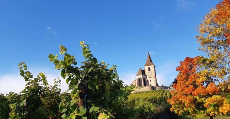 Iconics Typical villages & Haut Koenigsbourg castle - Explore the Charm and History of Alsace on a Full-Day Tour