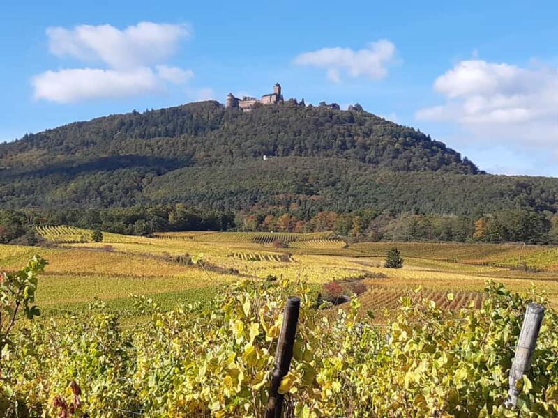 Iconics Typical villages & Haut Koenigsbourg castle - Key Points