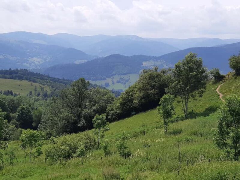 Iconics Typical villages & Haut Koenigsbourg castle - Final Thoughts on the Iconics Villages & Castle Tour