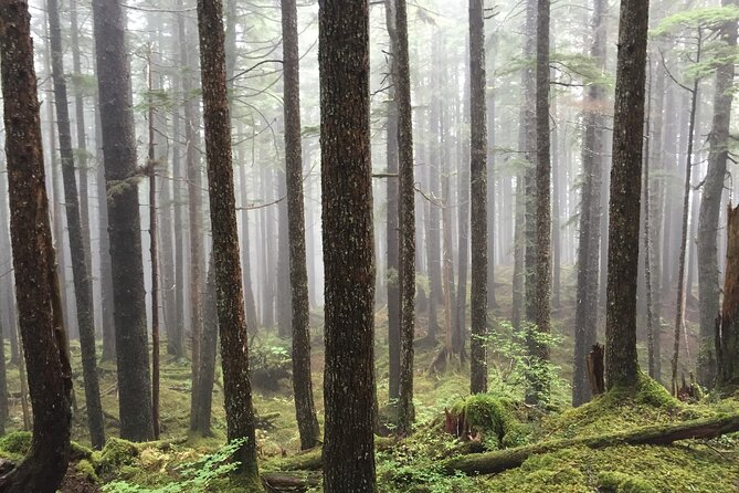 Icy Strait Village Tour and Crab Feast - Preparing the Crab for the Feast