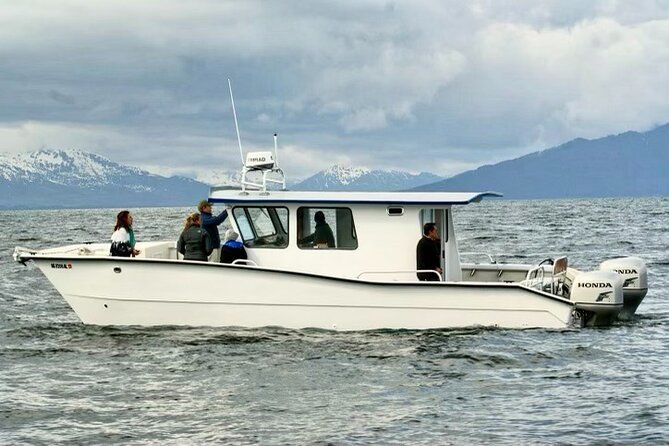 Icy Strait Whale & Wildlife Endeavor - The Importance of Small Group Size in Wildlife Viewing
